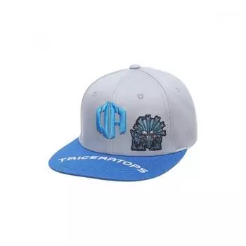 Черный Як Черный Як Детский Бронированный Заурус Snapback R2bkhts2913 Lg 2BKHTS2913-LG/54