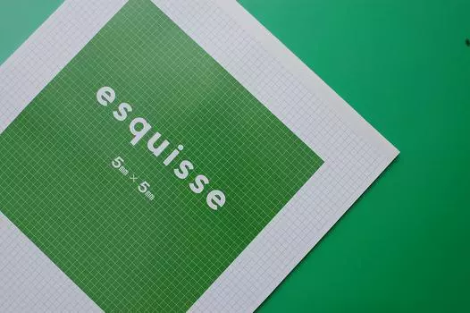 Чертежная бумага Esquis с сеткой 5 мм формата А3 для железобетонных и стальных конструкций