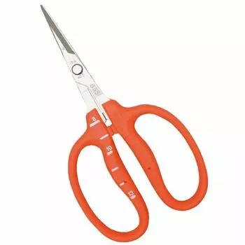 CHIKAMASA Stainless Grape Care Shears B-500S