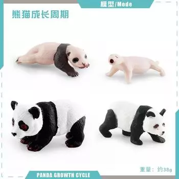 Children S Cognition National Treasure Panda Growth Cycle Simulation Animal Panda Bear Growth Process Static Ornament Model Toy