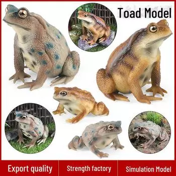 Children s Reptile Simulation Model Toy: Toads and Frogs for Cognitive Play and Gifts