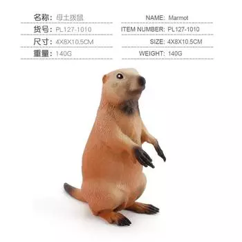 Children S Science And Education Cognition Grassland Wild Squirrel Animal Model Simulation Solid Groundhog Collection Ornament Toy