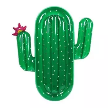 Childrens Adult And Large Inflatable Cartoon Cactus Floating Toy Drainage