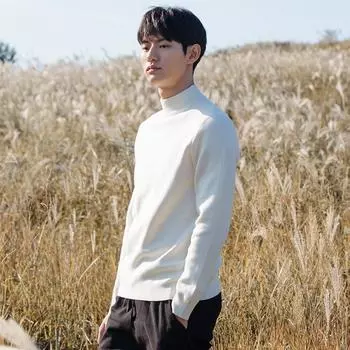 Чистый и элегантный свитер мужской антипиллинговый высококачественный трикотажный свитер с высоким воротом приталенный свитер с длинным рукавом однотонный трендовый мужской свитер M