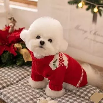 Christmas clothes puppy dog two-legged sweater medium and small dog warm knitted sweater autumn and winter cat pet clothes XS (recommended weight 1-1.5 kg)