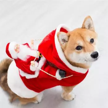 Christmas Dog Clothes Santa Claus Pets Dog Coat Dog Sweater Pet Clothes Pet Hooded Sweatshirt Pet Halloween Cosplay Pet Dress Up S красный