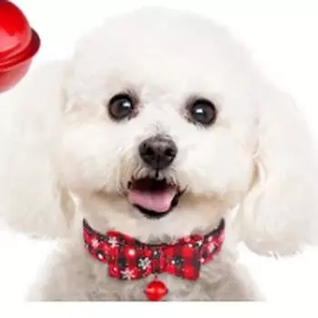Christmas Dog Collar and Bell Fabric Female Male Puppy Pet Bow Tie Adjustable XS-M XS чёрный