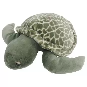 Чучело морской черепахи L 180334