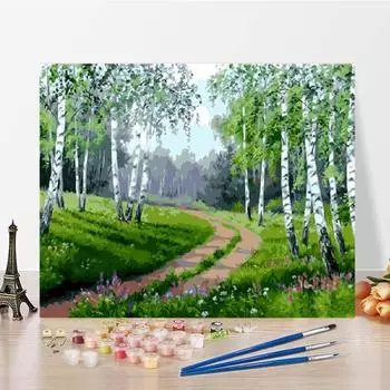 Цифровая картина маслом по номерам Картина маслом Искусство Домашнее украшение DIY Картина по номерам Холст 40x50cm no frame