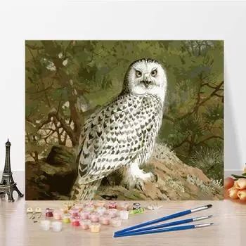 Цифровая масляная живопись DIY живопись по номерам Арт Номера Масло Живопись Украшение дома Холст 40x50cm no frame