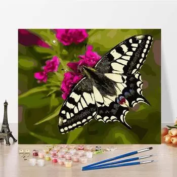 Цифровая масляная живопись номера масляная живопись домашнее украшение своими руками живопись по номерам искусство холст 40x50cm no frame