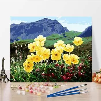 Цифры Картина маслом Искусство DIY Картина по номерам Украшение дома Цифровая картина маслом Холст 40x50cm no frame