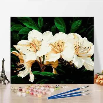 Цифры Картина маслом Искусство Холст DIY Картина по номерам Цифровая картина маслом Украшение дома 40x50cm no frame