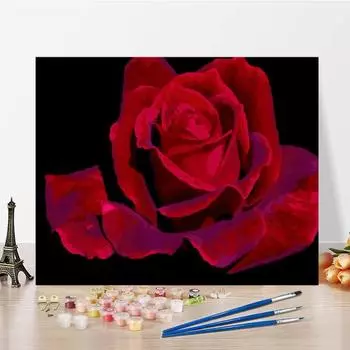 Цифры масляная живопись искусство украшения дома DIY краска по номерам цифровая масляная живопись холст 40x50cm no frame