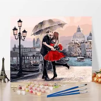 Цифры на холсте Картина маслом Цифровая картина маслом Украшение дома DIY Краска по номерам Искусство 40x50cm no frame