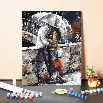 Цифры на холсте Картина маслом Искусство Домашнее украшение Цифровая картина маслом DIY Краска по номерам 40x50cm no frame
