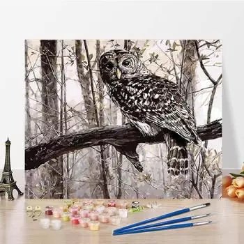 Цифры на холсте, картина маслом, искусство, украшение дома, сделай сам, картина по номерам, цифровая картина маслом 40x50cm no frame