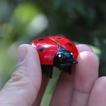 Цикада Электрический Жук, милый тизер, интерактивное моделирование, 1 шт., новые мини-игрушки для кошек, ходячие насекомые, авто, уникальные домашние животные beetle