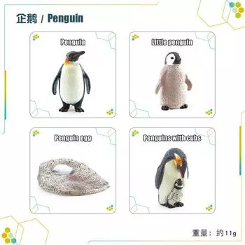 Цикл роста животных и растений Бумажные карточки Найти развлечение Детское раннее образование Образовательные насекомые Животные Познавательные игрушки