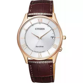 Citizen КОЛЛЕКЦИЯ AS1062-08A