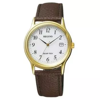 Citizen Men s RS25-0031B ( Watch REGUNO Men s) Round Watch Brown Stainless Analog