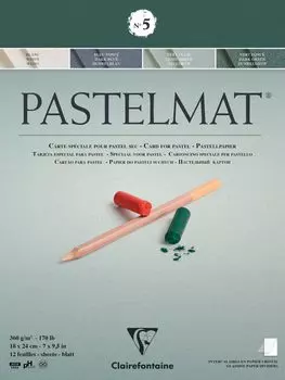 Clairefontaine Pastel Mat No.5 Блок 18x24 см 12 листов 360 г/м Бескислотная бумага пастельный карандаш цветной карандаш Clairefontaine cf96113