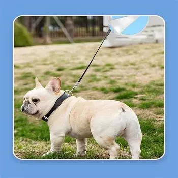 Классический 3M 5M собака выдвижной тяговый трос поводок для собак кошки щенка ремень шлейка автоматический гибкий для маленьких средних собак товары для животных 3M