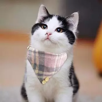 Классический клетчатый ошейник для домашних животных с бабочкой-колокольчиком и шарфом, регулируемый треугольный шарф B коричневый
