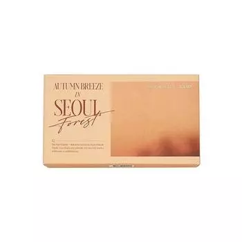 Палитра теней для век Clio Pro Eye Palette AD 0,6 г X 10, 012 Seoul Forest Autumn Wind, 1 шт.