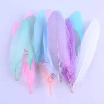 Одежда, перья, гусиные перья, дошкольное образование, ювелирные аксессуары ручной работы своими руками, поделки, декоративная одежда 100PCS белый