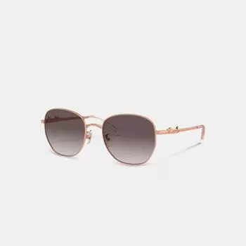 COACH Круглые солнцезащитные очки Coach Script CR644 Розовое золото Черные