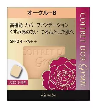 Coffret Grand Foundation Cover Fit Pact UV2 Ocher B d Or SPF24/PA++ 10,5 г