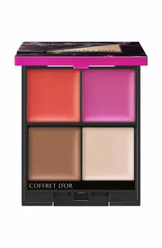 COFFRET Multi Designing Palette 02 by Eyeshadow Tender Glow D OR [Discontinued manufacturer] 8.2g (x 1)