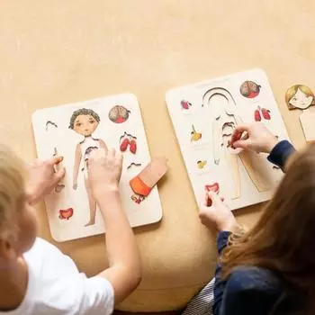 Cognition Легко собрать Веселый Гладкая Поверхность Мальчики Девочки Анатомия Игровой Набор Деревянный Пазл Доска Головоломка