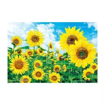 Cognitive Enhancement Puzzle Sunflower Arithmetic, Korean popular puzzles
