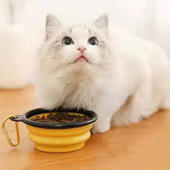 Collapsible 1000 Ml Collapsible Silicone Bowl Pet Outdoor Travel Portable Puppy Kitten Food Container Feeder 1000ML