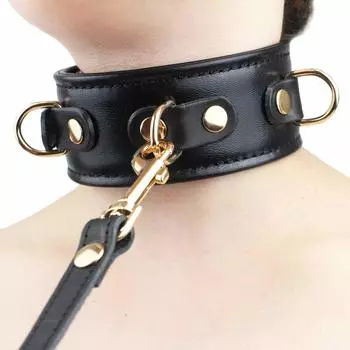Collar for Luxury Recycled SM Lead Training [Liebe Seele] Humans, Leather, Cosplay, Goods, Choker, Set, Black, Queen,