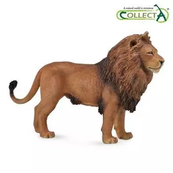 Collecta Африканский лев-самец 88782, популярные игрушки в Корее.