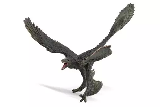 COLLECTA Dinosaur Figure Microraptor 88875
