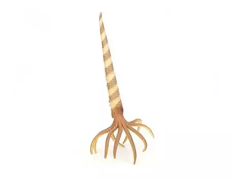 COLLECTA Фигурка динозавра Orthoceras 88903