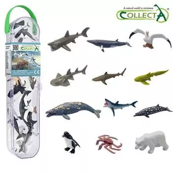 Мини-фигурки морских животных Collecta, набор из 12 предметов 3, популярные игрушки в Корее