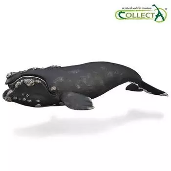 Collecta Южный гладкий кит, популярные игрушки в Корее