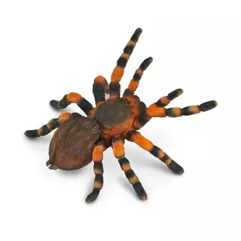 COLLECTA tarantula
