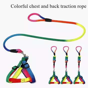 Colorful Nylon Dog Traction Rope Chest Harness Set Classic Pet Traction Rope Dog Walking Rope Chest Harness 1.5CM
