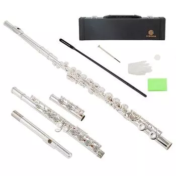 colsed Hole 16 Keys Flute aurosus offest G посеребренная для начинающих детей студентов флейта msc-6 кислотные зеленого