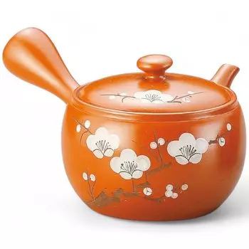 Commercial Teapot with Made in Japan J-kitchens Tokoname-yaki Strainer, 600cc,