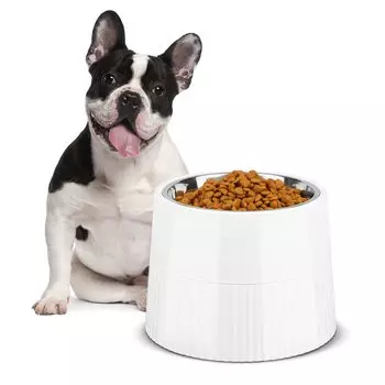 ComSaf Dog Stainless Steel Dog Food Bowl with Easy to Pet Bowl for Dogs and Easy to White Tableware, Stand, Tall, Eat, Cats, Removable, Wash,