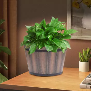 Container for Plants with Drainage, Versatile Planter Kitchen and Living Room 6inch