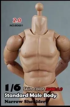 COOMODEL COO BD001 Male Body Action Body for Figure [TOYBARJAPAN] 1/6