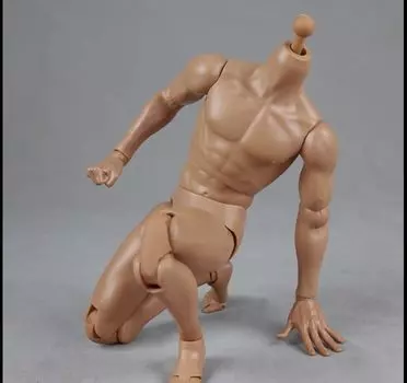 COOMODEL COO BD003 Мужское тело экшн тело для фигурки [TOYBARJAPAN] 1/6